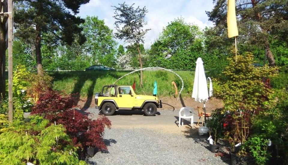 Japanische Ahorn rechts und links des Hauptweges Japanische Ahorn rechts und links des Hauptweges. Bambus-Baumschule Darmstadt. Spezialgärtnerei Ulrich Willumeit. Baumschule Darmstadt Eberstadt