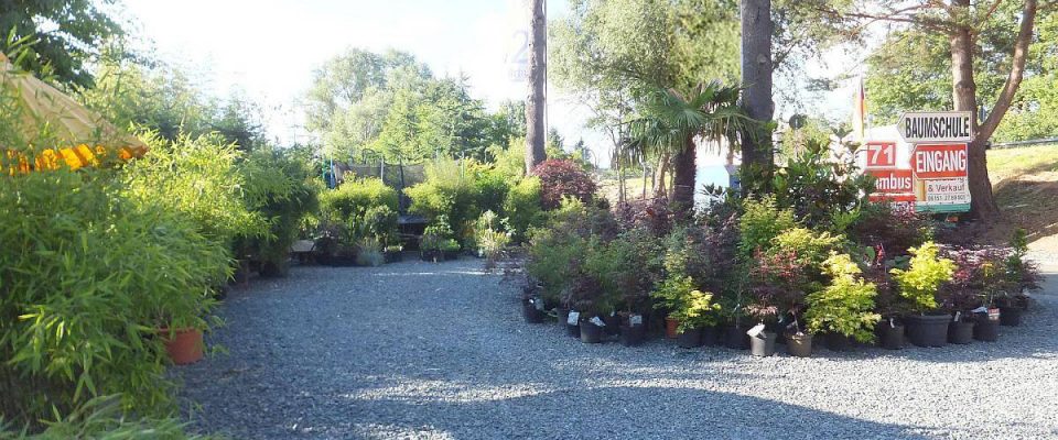 Eingangsbereich zur Bambus Baumschule Willumeit. Beachten Sie unsere Hinweise! Eingangsbereich zur Bambus Baumschule Willumeit. Beachten Sie unsere Hinweise! Bambus-Baumschule Darmstadt. Spezialgärtnerei Ulrich Willumeit. Baumschule Darmstadt Eberstadt